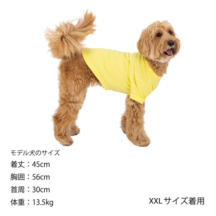 マンダリンブラザーズ クールカクテルTシャツ XLサイズ〜XXLサイズ MANDARINE BROTHERS / 犬服 ドッグウェア クール カラフル | MANDARINE BROTHERS | 16