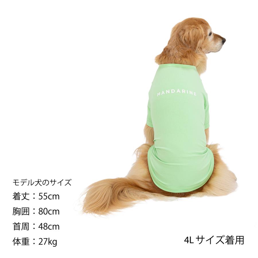 マンダリンブラザーズ クールカクテルTシャツ 3Lサイズ〜5Lサイズ MANDARINE BROTHERS / 犬服 ドッグウェア クール カラフル | MANDARINE BROTHERS | 13