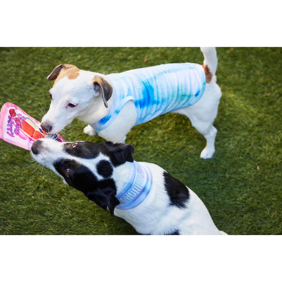 マンダリンブラザーズ CCLネッククーラー Sサイズ/Ｍサイズ  MANDARINE BROTHERS CCL Neck Cooler / ドッググッズ クール 熱中症対策 おしゃれ | MANDARINE BROTHERS | 16