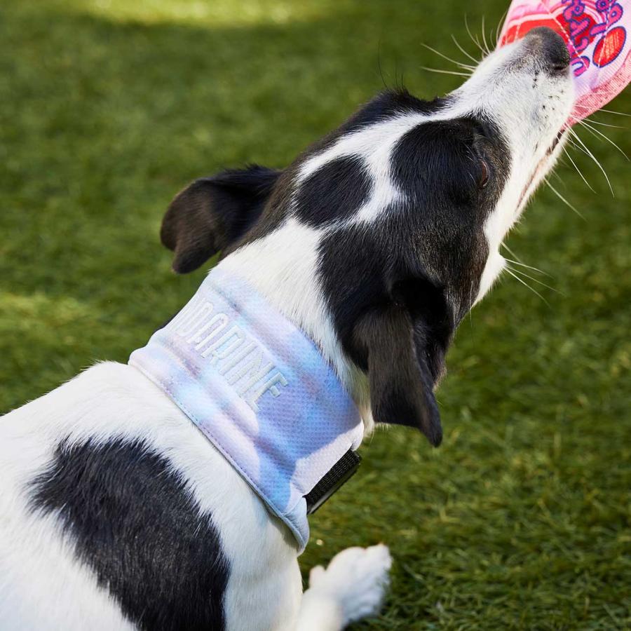 マンダリンブラザーズ CCLネッククーラー Sサイズ/Ｍサイズ  MANDARINE BROTHERS CCL Neck Cooler / ドッググッズ クール 熱中症対策 おしゃれ | MANDARINE BROTHERS | 17