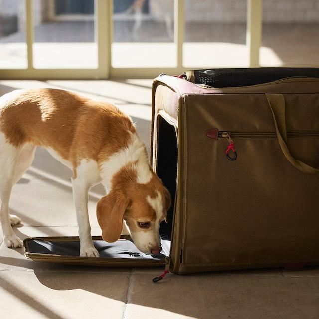 マンダリンブラザーズ ブリクストンキャリーバックパック ワイド Mサイズ　BRIXTON CARRY BACKPACK WIDE  MANDARIN BROTHERS 犬用リュック | MANDARINE BROTHERS | 15