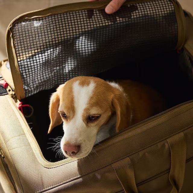 マンダリンブラザーズ ブリクストンキャリーバックパック ワイド Mサイズ　BRIXTON CARRY BACKPACK WIDE  MANDARIN BROTHERS 犬用リュック | MANDARINE BROTHERS | 16