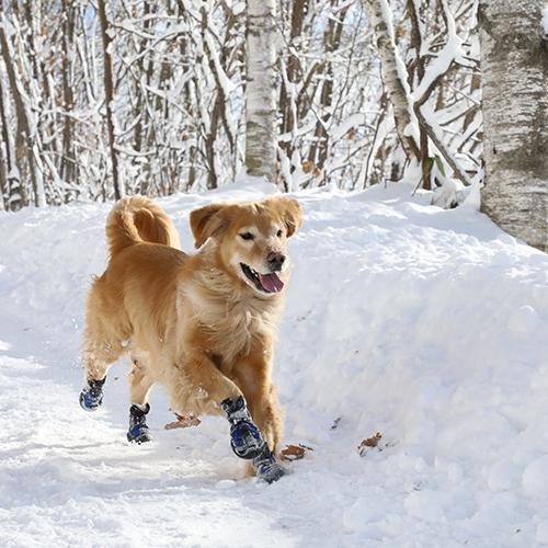 マットラクス スノーマッシャーズ サイズ5〜8 Muttluks Snow Mushers / 靴 中・大型犬 ドッグスノーシューズ 雪遊び 災害 |  | 09
