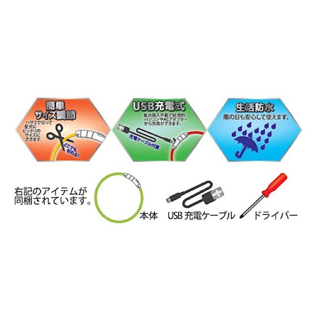 セーフティカラー55 LEDライト お散歩用ライト！！ |  | 04