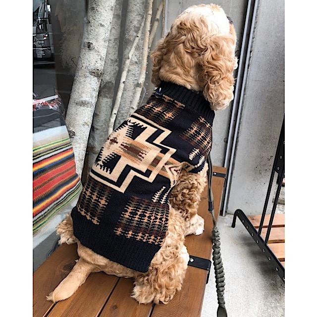 PENDLETON（ペンドルトン）犬用セーター Mサイズ 寒い日でも大丈夫！愛犬の寒さ対策に | PENDLETON | 10