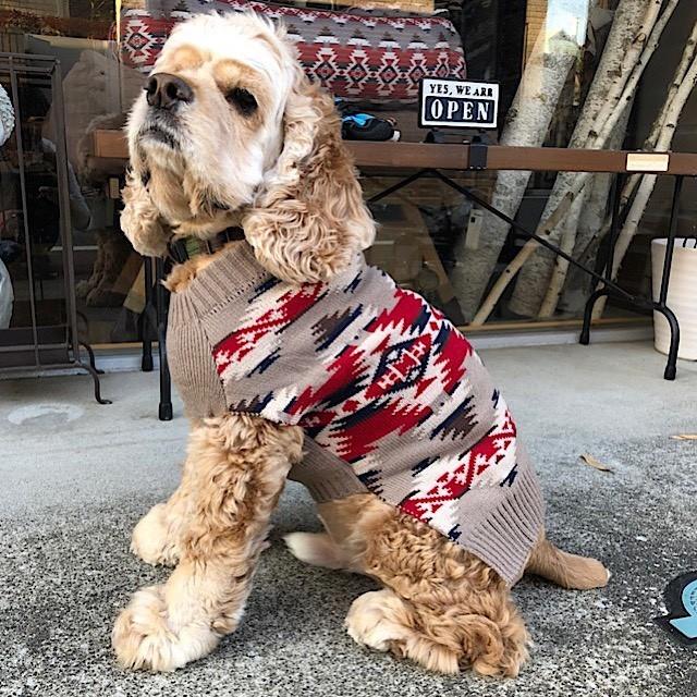 PENDLETON（ペンドルトン）犬用セーター XLサイズ 寒い日でも大丈夫！愛犬の寒さ対策に｜outtail｜06