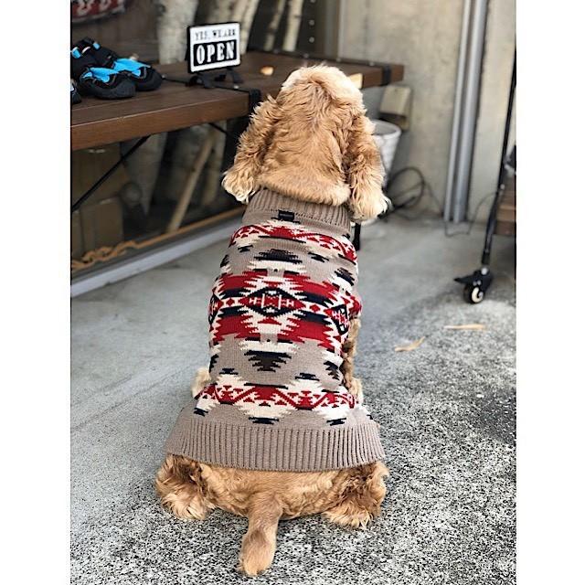 PENDLETON（ペンドルトン） 犬用セーター XLサイズ 寒い日でも大丈夫