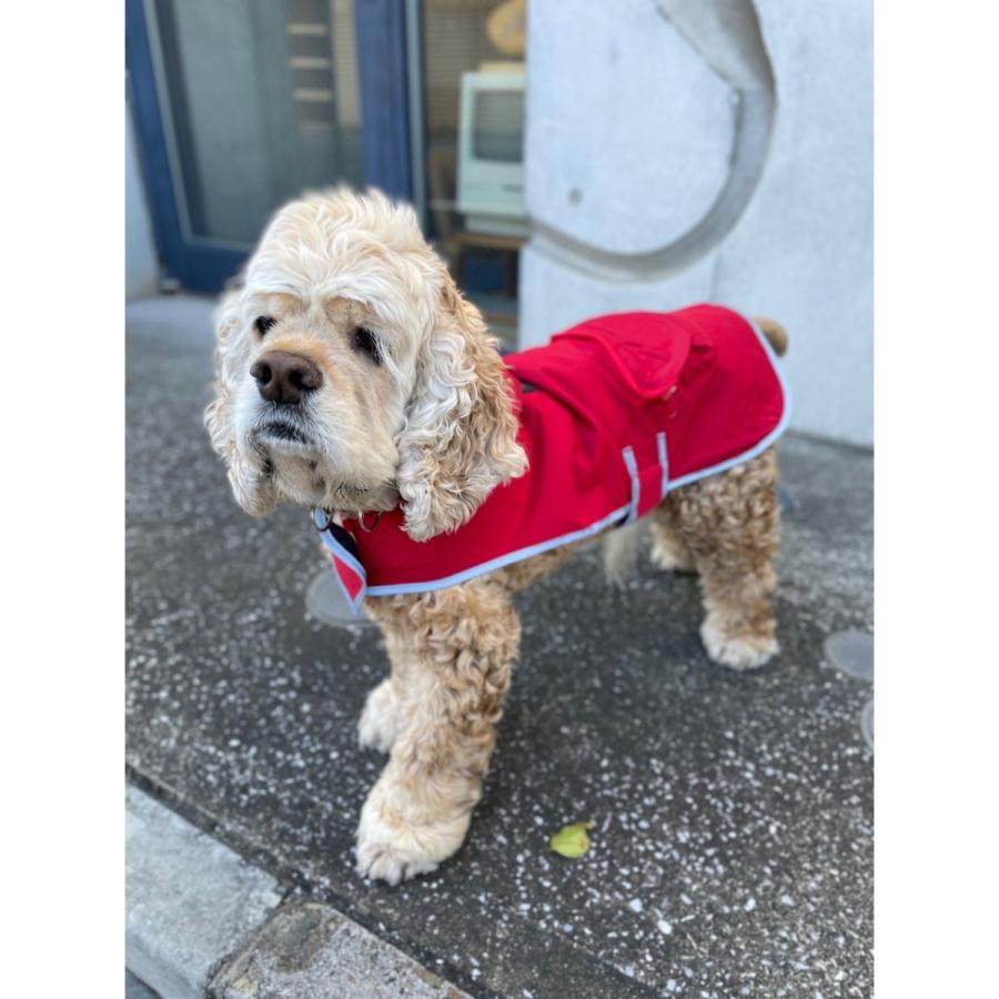 Pet Rain Coat XSサイズ (ペンドルトン) レインコート ＸＳ | PENDLETON | 10