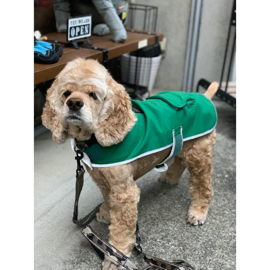 Pet Rain Coat XSサイズ (ペンドルトン) レインコート ＸＳ | PENDLETON | 06