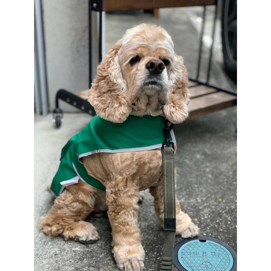 PENDLETON（ペンドルトン） Pet Rain Coat XLサイズ レインコート XL