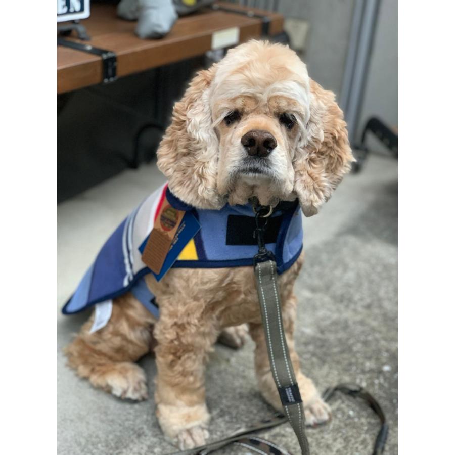 PENDLETON（ペンドルトン） National Park Coat XLサイズ ナショナル