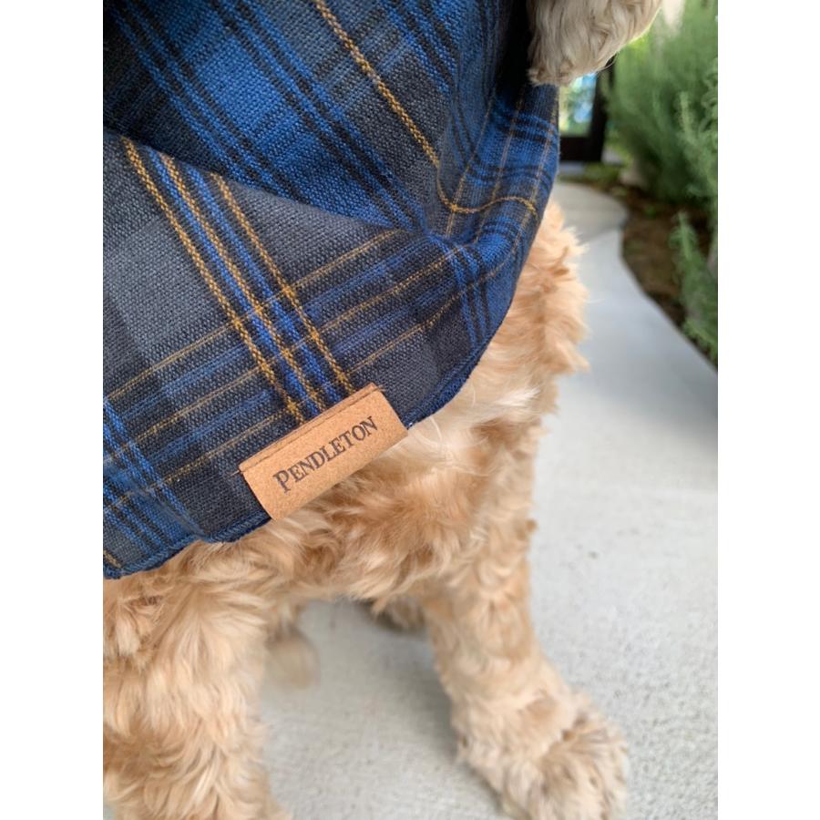 PENDLETON Bandana S/M （ペンドルトン） ワンちゃん用バンダナ　小型犬用　バンダナ Ｓ/Ｍ | PENDLETON | 01