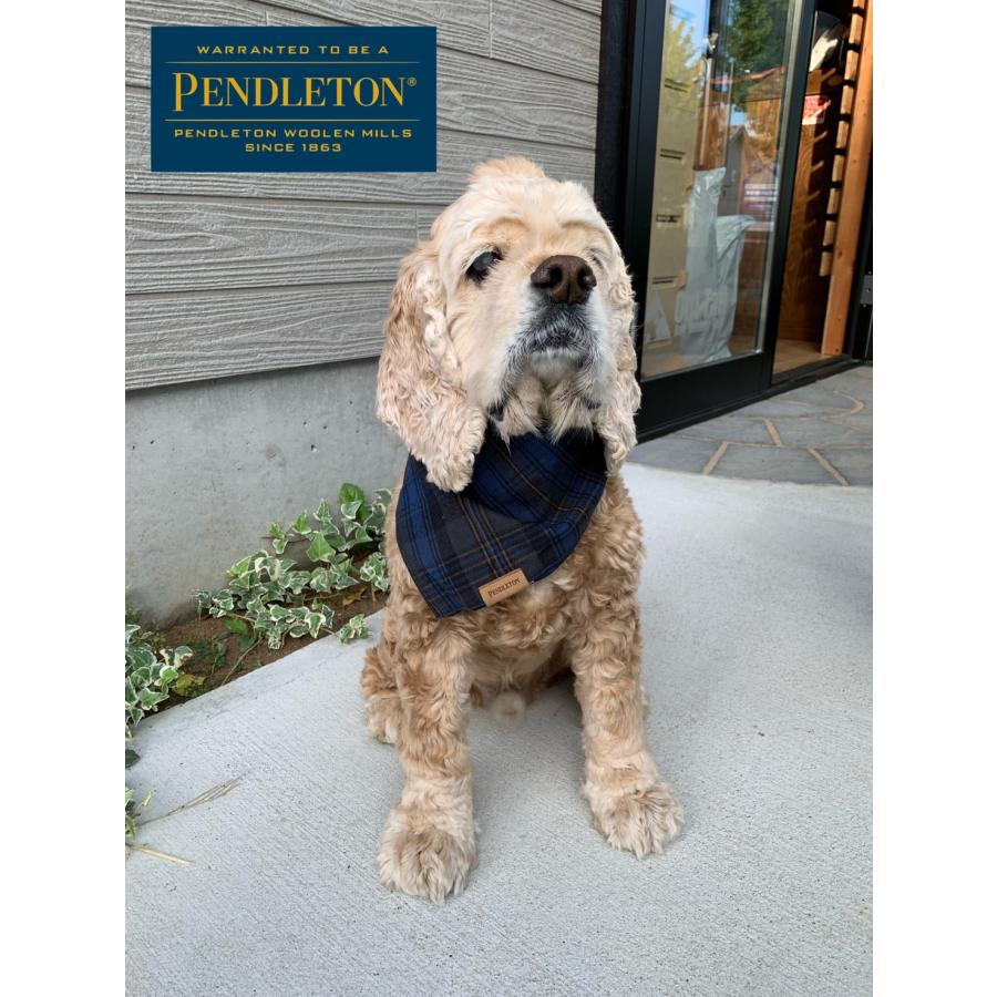 PENDLETON Bandana L/XL（ペンドルトン） ワンちゃん用バンダナ　バンダナ Ｌ/ＸＬ | PENDLETON