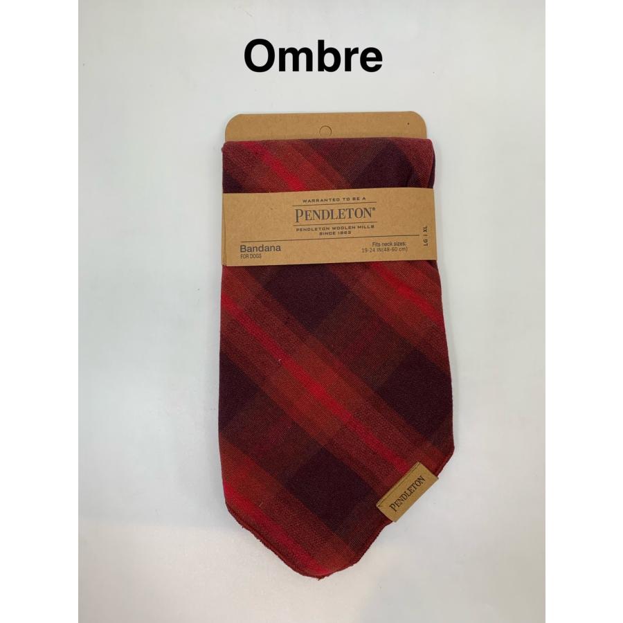 PENDLETON Bandana L/XL（ペンドルトン） ワンちゃん用バンダナ　バンダナ Ｌ/ＸＬ | PENDLETON | 05