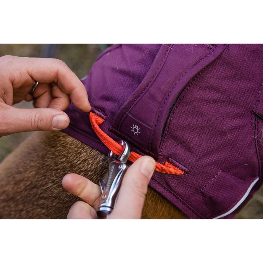 ラフウェア ウェブマスターハーネス RUFFWEAR / フィット感  散歩 アウトドア 丈夫 介護 |  | 06