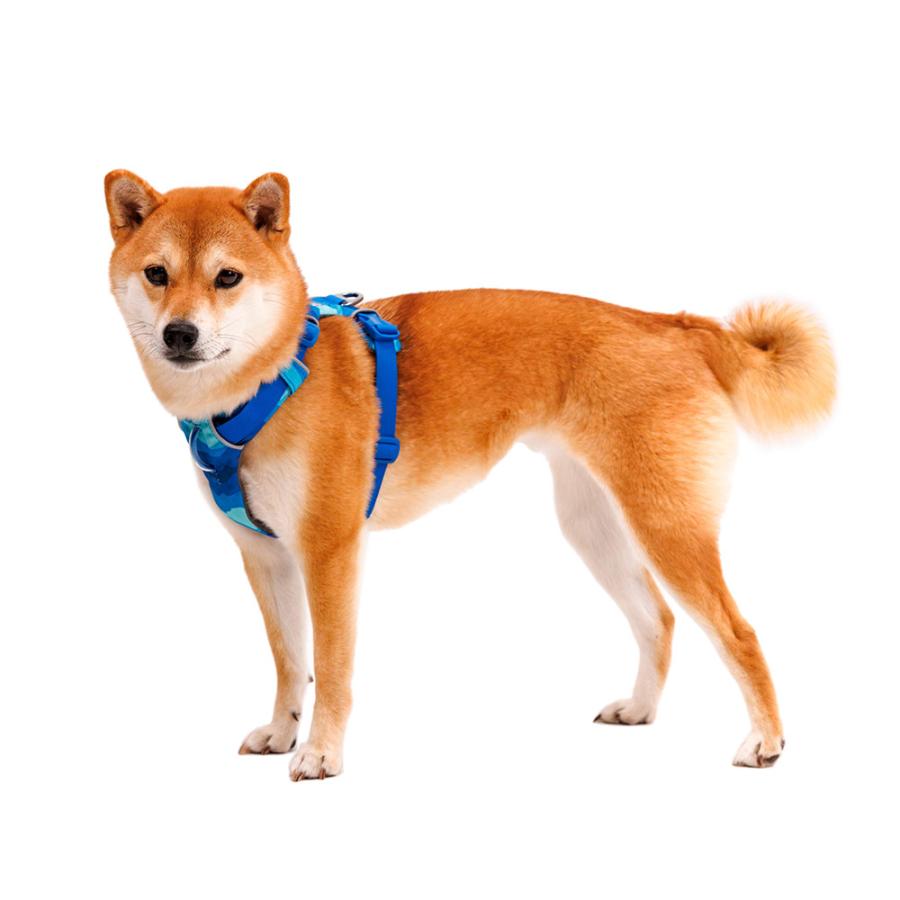 NEWカラー!!ラフウェア フロントレンジハーネス RUFFWEAR Front Range Dog Harness / 軽い 装着簡単 脱げにくい カラーが豊富 丈夫 |  | 15