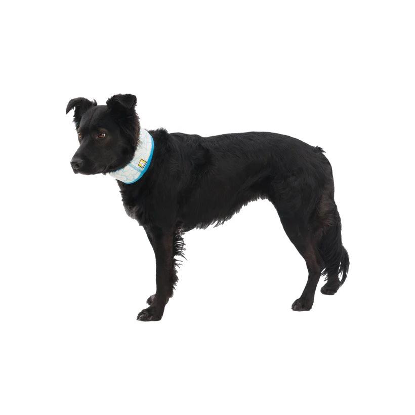 ラフウェア　スワンプクーラーネックゲーター　RUFFWEAR 暑さ対策　ネッククーラー |  | 04