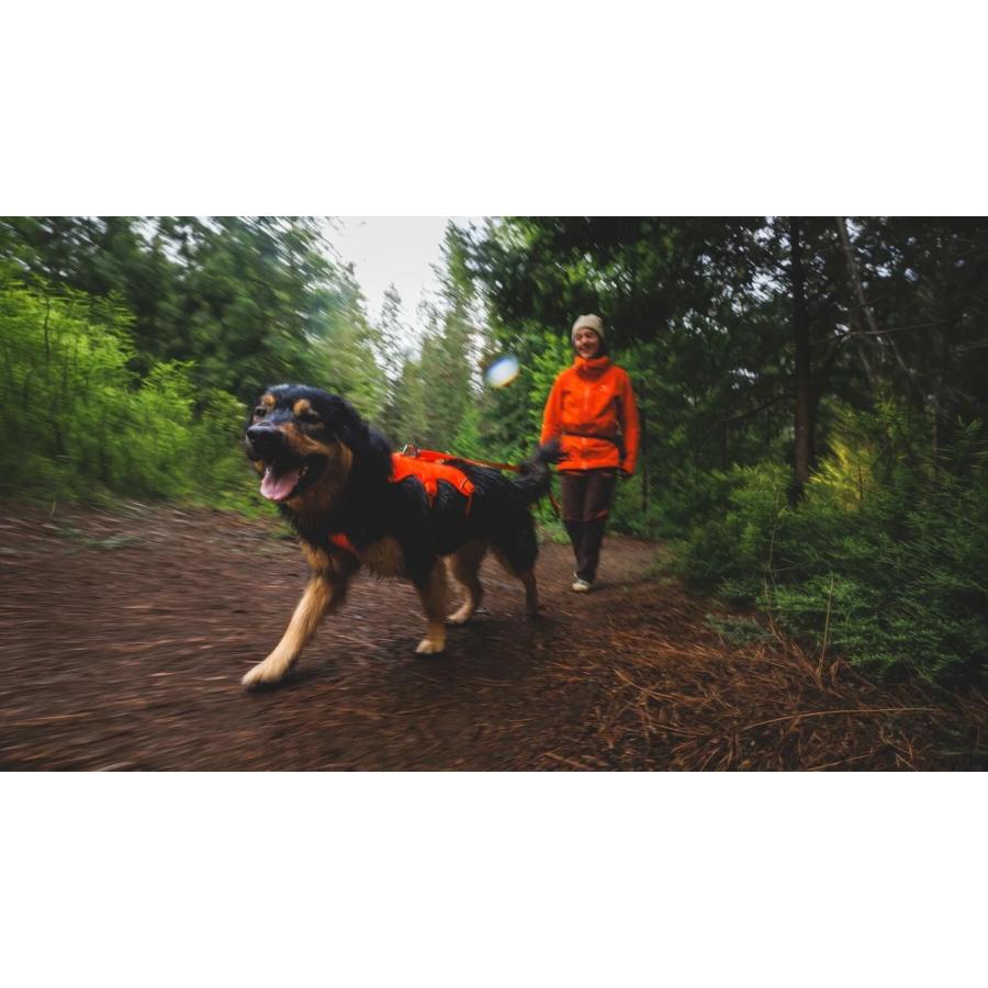 ラフウェア　ロングリード　6.1m　RUFFWEAR  ローグロングライン 犬　 |  | 09