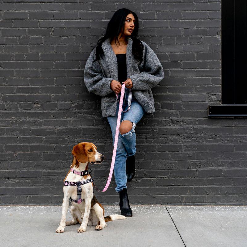 送料無料！ウルフギャング HoundsPink LEASH リード Sサイズ  WOLFGANG ハウンズピンク 小型犬 | WOLFGANG MAN & BEAST | 03