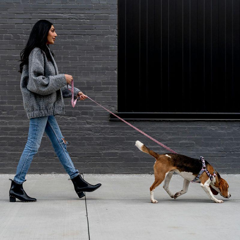 送料無料！ウルフギャング HoundsPink LEASH リード Sサイズ  WOLFGANG ハウンズピンク 小型犬 | WOLFGANG MAN & BEAST | 05