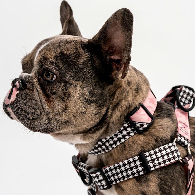送料無料！ウルフギャング  HoundsPink  ハーネス Lサイズ WOLFGANG ハウンズピンク 大型犬の画像
