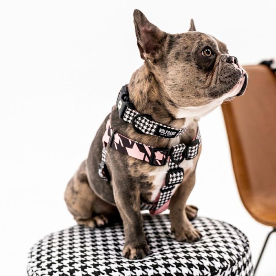 送料無料！ウルフギャング  HoundsPink  ハーネス Lサイズ WOLFGANG ハウンズピンク 大型犬の画像