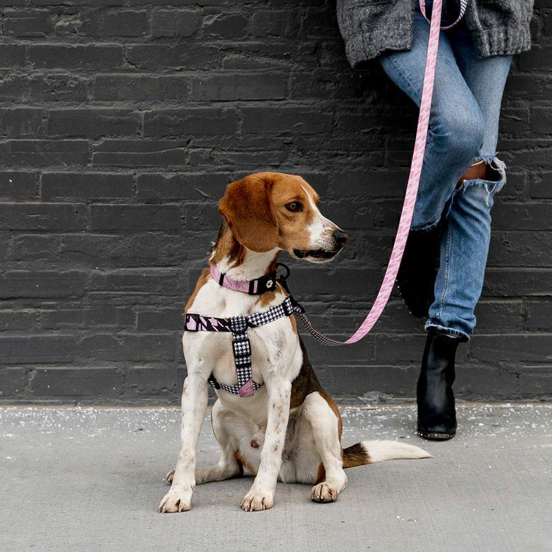 送料無料！ウルフギャング  HoundsPink  ハーネス Lサイズ WOLFGANG ハウンズピンク 大型犬の画像