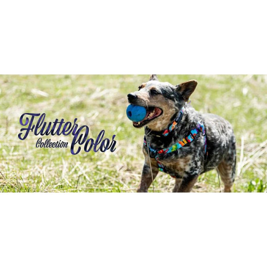 送料無料！ウルフギャング  フラッターカラー/  ハーネス Sサイズ  WOLFGANG  Flutter Color  Harness  Ｓ/丈夫　軽い　アメリカ　おしゃれ | WOLFGANG MAN & BEAST | 06