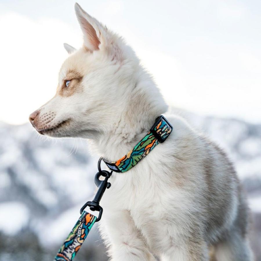 送料無料！ ウルフギャング ワイルドウルフ　リード Mサイズ  WOLFGANG　WildWolf  Leash  Ｍ　軽い　丈夫　犬用リード　大型犬　中型犬 | WOLFGANG MAN & BEAST | 03