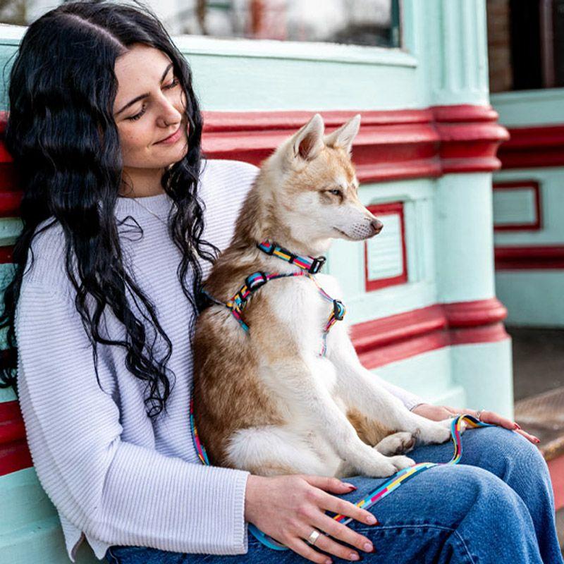 送料無料！ ウルフギャング ミックステープ　リード Mサイズ  WOLFGANG　MixTape  Leash  Ｍ　軽い　丈夫　犬用リード　大型犬　中型犬 | WOLFGANG MAN & BEAST | 02