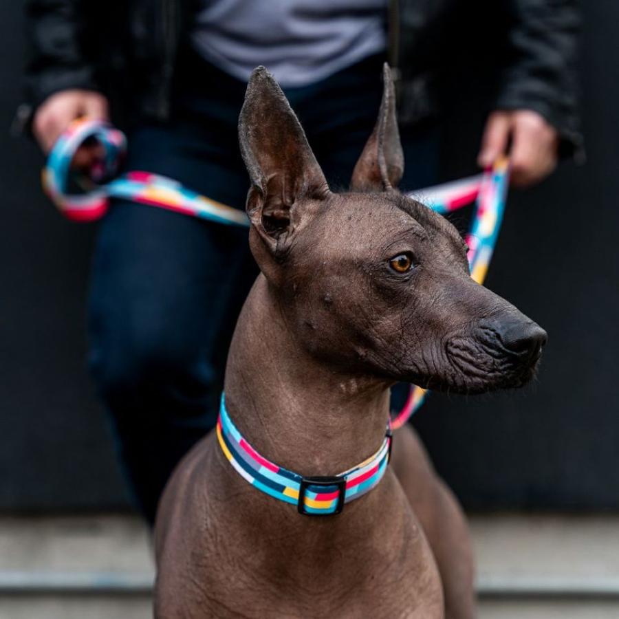 送料無料！ ウルフギャング ミックステープ　リード Mサイズ  WOLFGANG　MixTape  Leash  Ｍ　軽い　丈夫　犬用リード　大型犬　中型犬 | WOLFGANG MAN & BEAST | 03