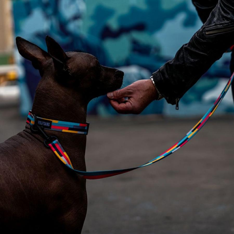 送料無料！ ウルフギャング ミックステープ　リード Mサイズ  WOLFGANG　MixTape  Leash  Ｍ　軽い　丈夫　犬用リード　大型犬　中型犬 | WOLFGANG MAN & BEAST | 05