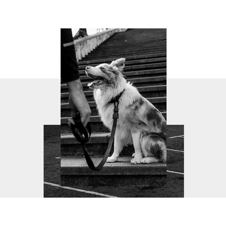 zee.dog LEASH S GOTHAM (ジードッグ ブラジル発祥のリード ゴッサム) Ｓサイズ |  | 03