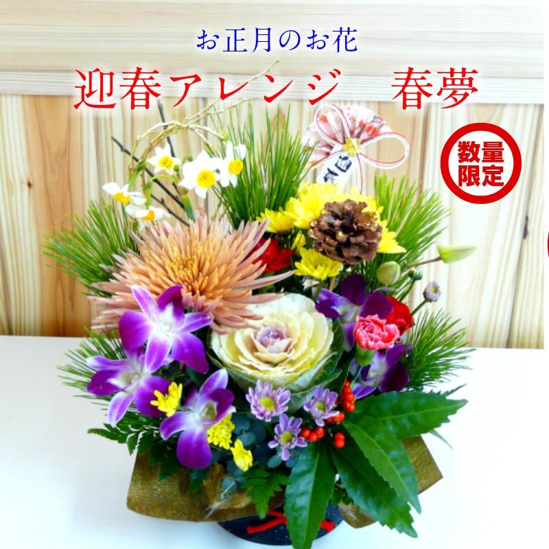 数量限定 迎春アレンジ お正月のお花 春夢 Arg Haruyume01 Ouvrepop11 通販 Yahoo ショッピング