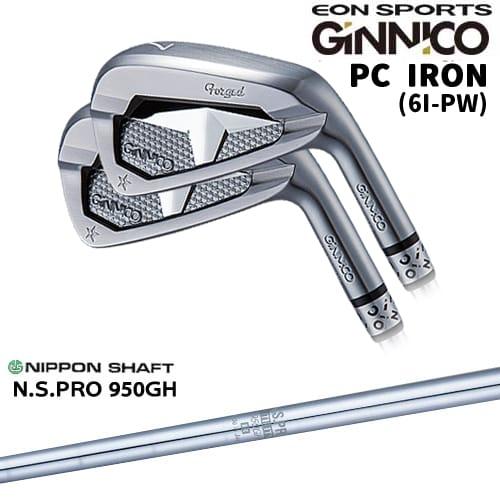 イオンスポーツ GINNICO ジニコ PC アイアン 6-AW 6本セット