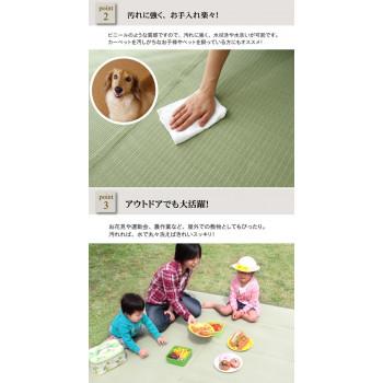 洗える PPカーペット 『五木』 江戸間6畳(約261×352cm) 2103006_2