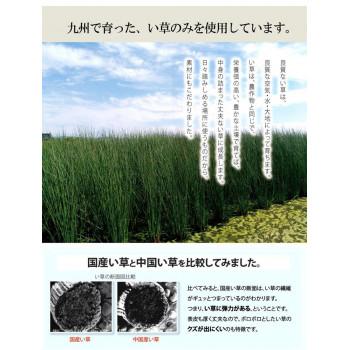 純国産 い草玄関マット 『Fなつこ』 ブルー 約70×120cm 8817870_4
