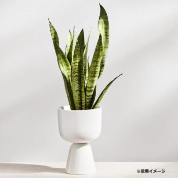 （A） Iittala イッタラ ナップラ プラントポット 230x155mm ホワイト 1051509_1