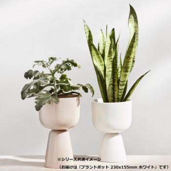 （A） Iittala イッタラ ナップラ プラントポット 230x155mm ホワイト 1051509_2