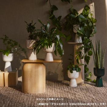 （A） Iittala イッタラ ナップラ プラントポット 230x155mm ホワイト 1051509_3