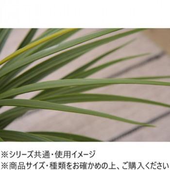 東谷 フェイクグリーン ミニパイナップル グリーン GRN-12_2