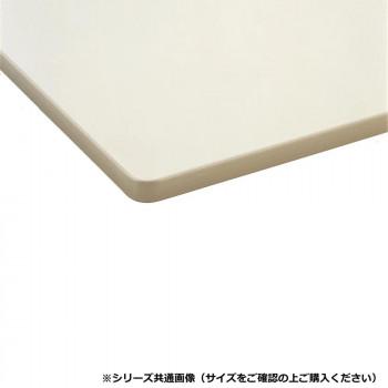藤沢工業(TOKIO) ミーティングテーブル TDWS-1875TM ニューグレーの画像