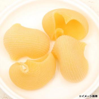 スガンバロ ルマーケ 500g 16個セット 092040_3