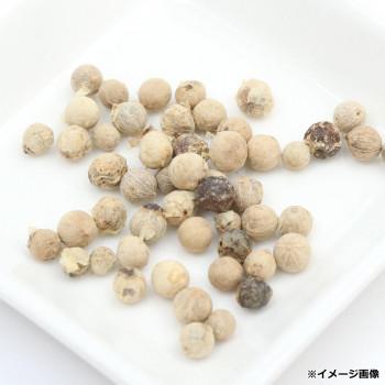 モントスコ ホワイトペッパー(プラスチックミル) 48g 8個セット 077007_3