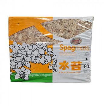 水苔　ニュージーランドAAAA 1kg 園芸用品 ニュージーランド産水苔 1kg AAAA : オーバーフラッグ - 通販