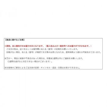 TOKISEI 常磐精工 ブラックバリウスメッセージスタンド ブラックボード A3横 BVAMSBB-A3Y_7