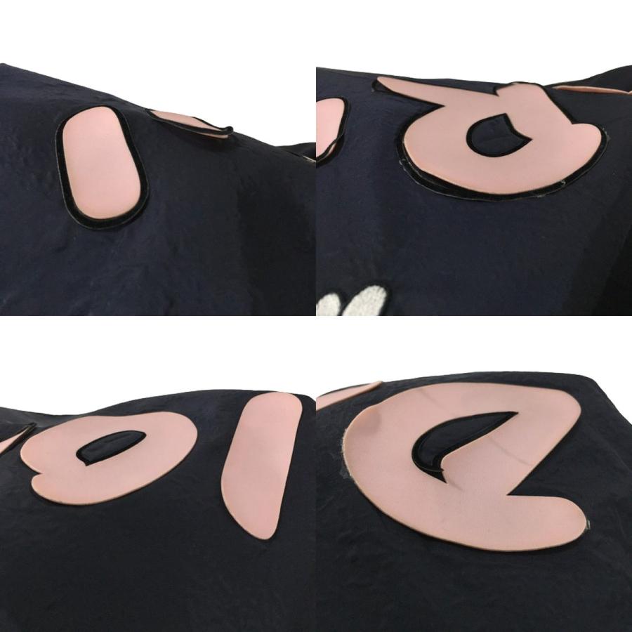 Dior ディオール x カウズ KAWS Nylon Hooded Jacket ナイロン