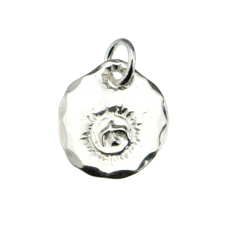 メンズ ネックレス ペンダント SVin太陽メタル 大 シルバー トップ