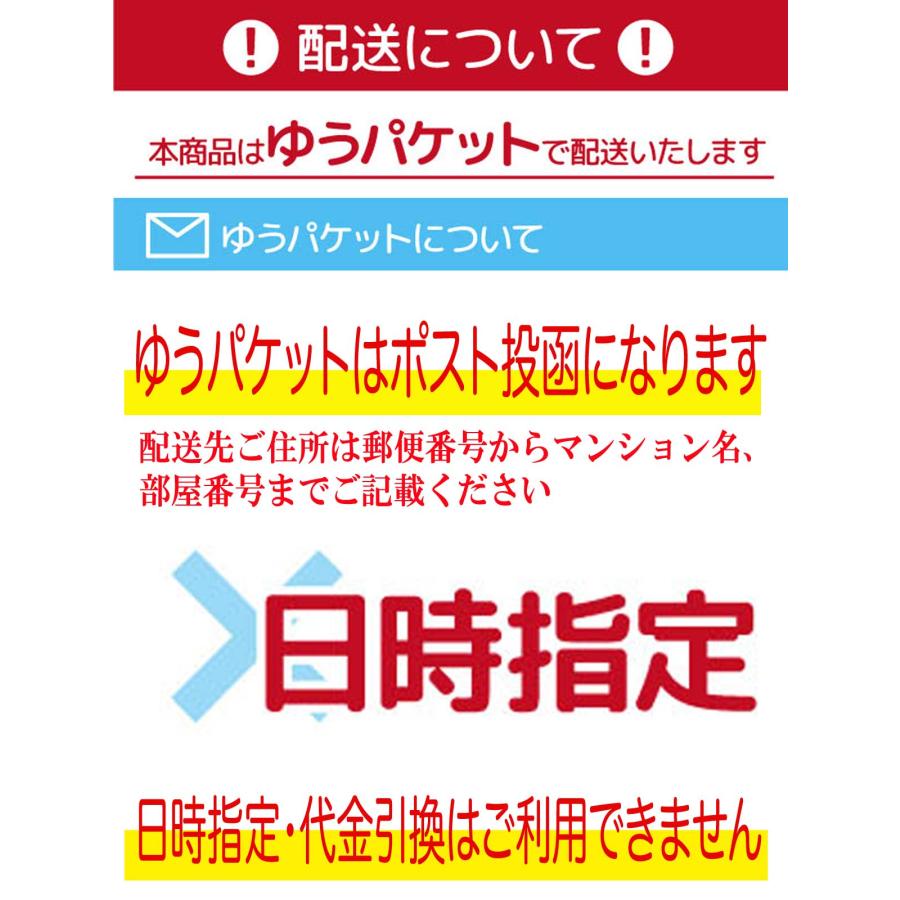 メンズ ネックレス メンズネックレス アクセサリー イーグル 大イーグル  大イーグルステンレスネックレス アメカジタイプ イーグル 鷲 羽根 フェザーネックレス｜overrag｜15