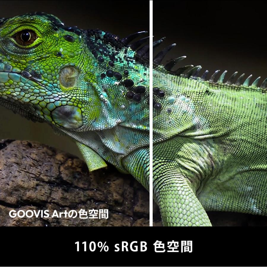 GOOVIS ART 4K VRヘッドセット ブラック 軽量 近視対応 100インチ相当 高精細大画面 3D映画 テレワーク ゲーミング FPVドローン ブルーライトカット 3D/2D切替 |  | 14